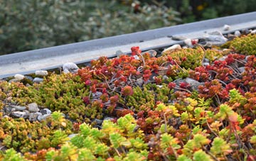 the cost of Newell Green green roof installation