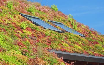 Newell Green living roof systems