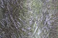 Newell Green fibreglass roof work